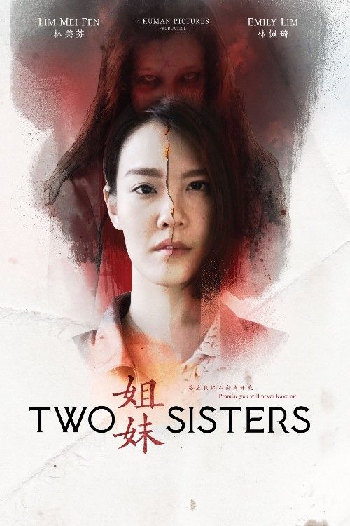 Two Sisters (2019) Hindi ORG Dubbed Movie download full movie